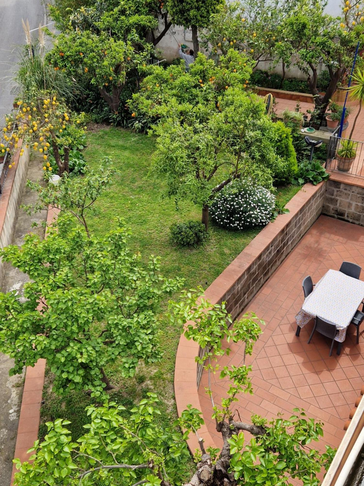 Il Giardino Dei Gigli Apartman Meta Kültér fotó