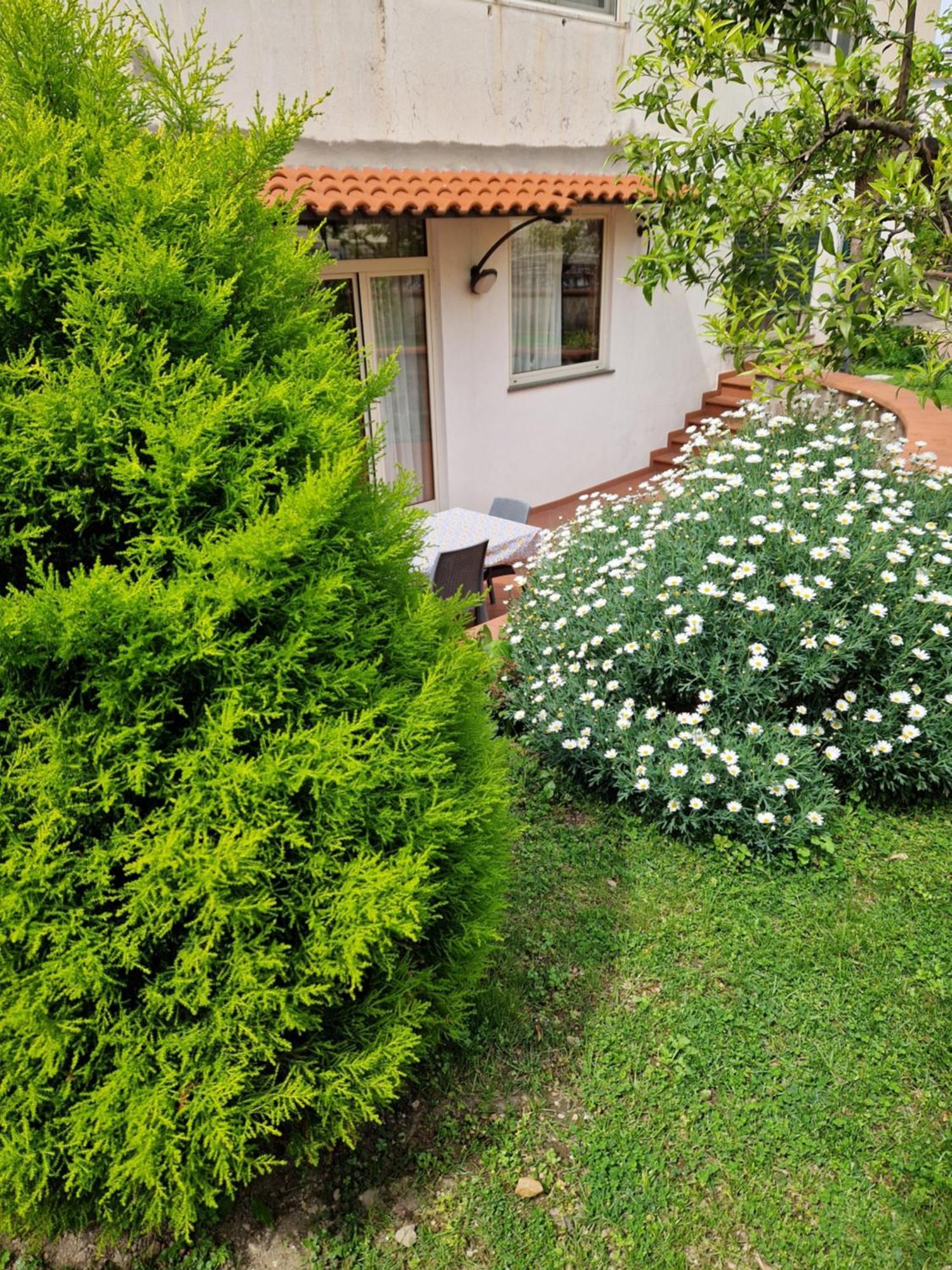Il Giardino Dei Gigli Apartman Meta Kültér fotó